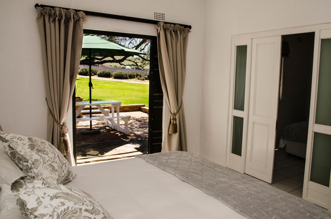 Lavinia Lifestyle Villa Stellenbosch Exteriör bild