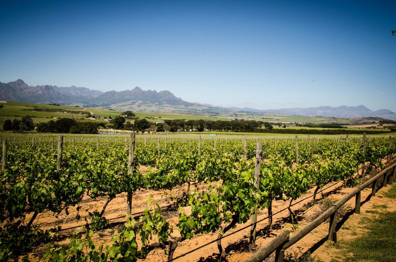 Lavinia Lifestyle Villa Stellenbosch Exteriör bild