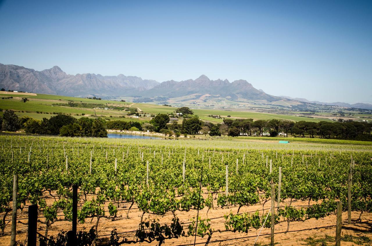 Lavinia Lifestyle Villa Stellenbosch Exteriör bild