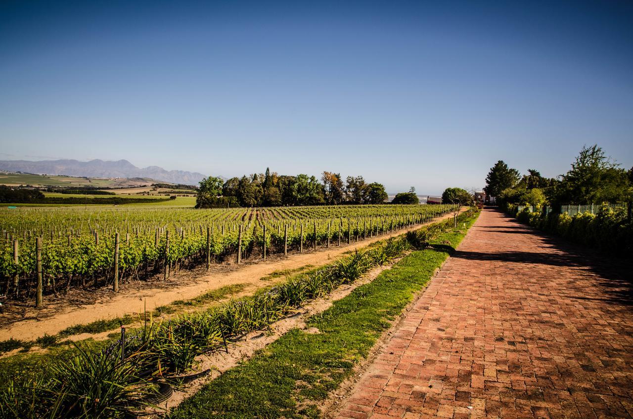 Lavinia Lifestyle Villa Stellenbosch Exteriör bild